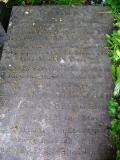 image number 9